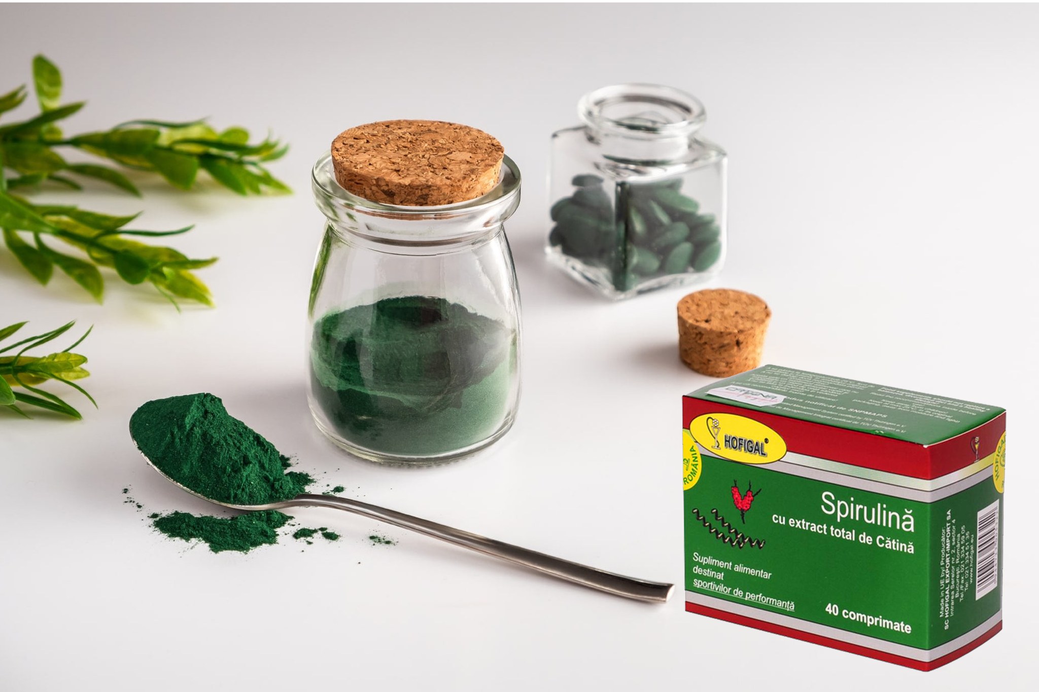 Spirulină cu extract total de cătină - optimizează funcţiile organismului